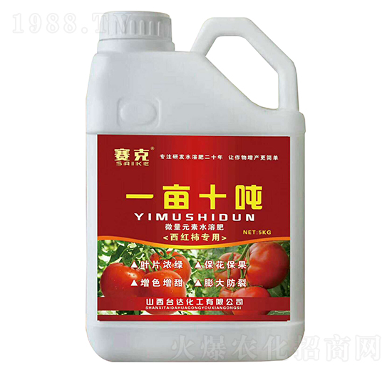 ���t������һ��ʮ��-ِ��-�_(t��i)�_(d��)�ʘI(y��)