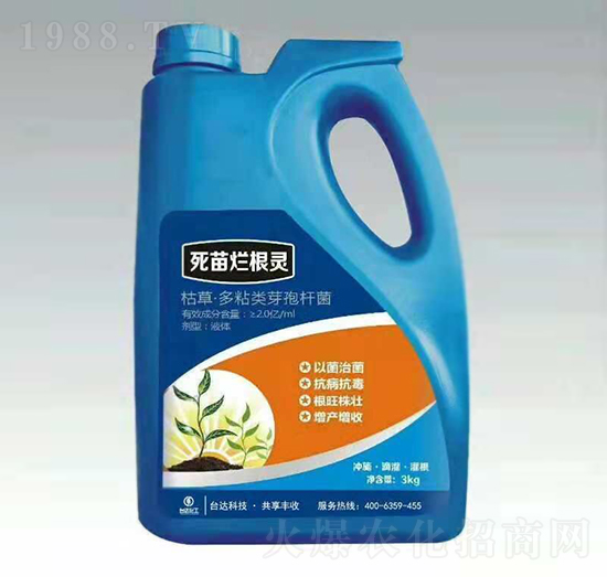 ���砀���`-�_(t��i)�_(d��)�ʘI(y��)