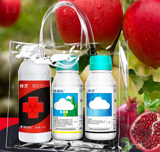 ��@����-��̖(h��o)�r(n��ng)�I(y��)