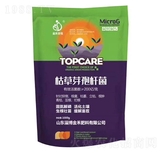 枯草芽孢桿菌-金禾