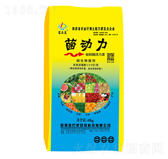 菌動(dòng)力蚯蚓酶活力素-寶石萊