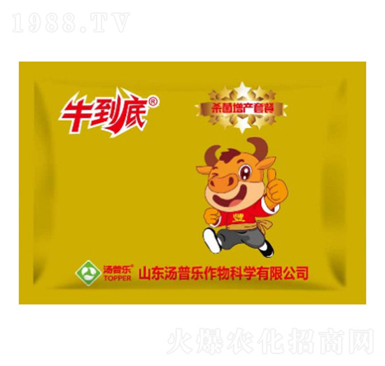 殺菌增產套餐-牛到底-湯普樂