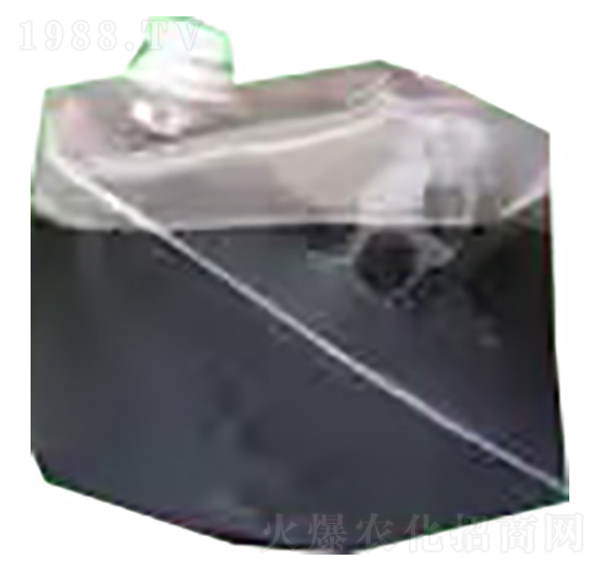 ����-�ѹ�Ӣ