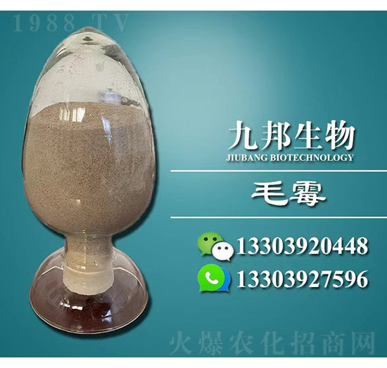 BM毛霉菌種-九邦生物