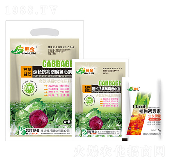 白菜甘藍(lán)速長抗病防腐包心劑-韓金-韓邦肥業(yè)