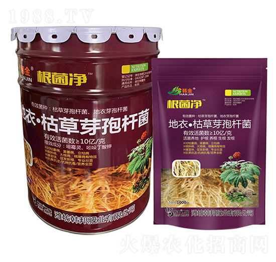 地衣·枯草芽孢桿菌-根菌凈-韓金-韓邦肥業(yè)