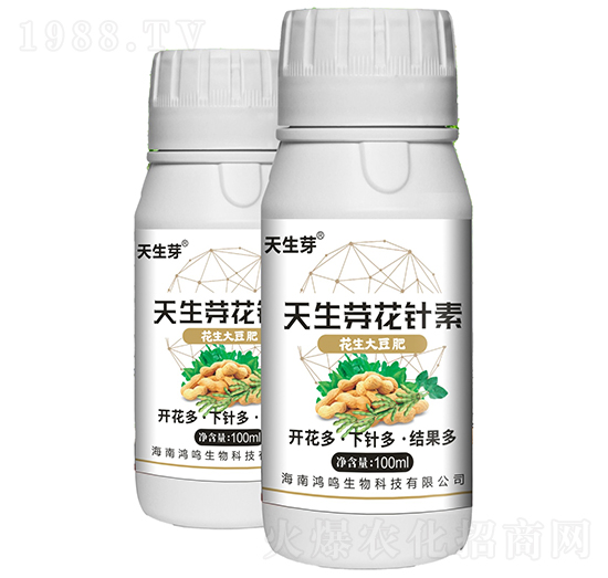 天生芽花針素-鴻鳴