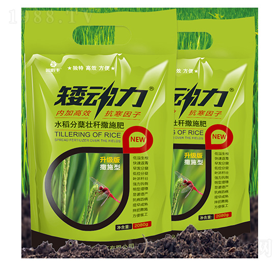 ˮ�����Y�їU��ʩ��-������-����S