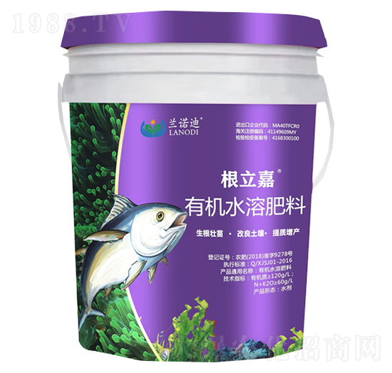 ������--�m�Z��-������