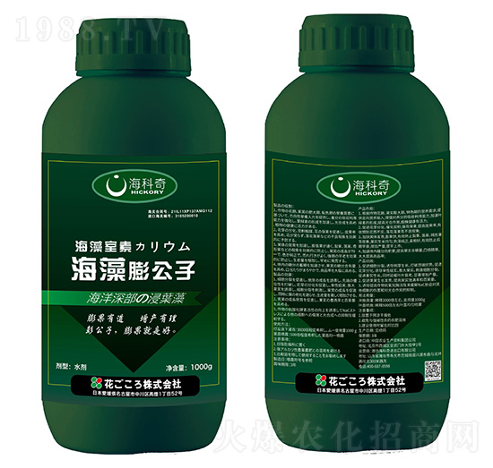 海藻膨公子-?？破? style=