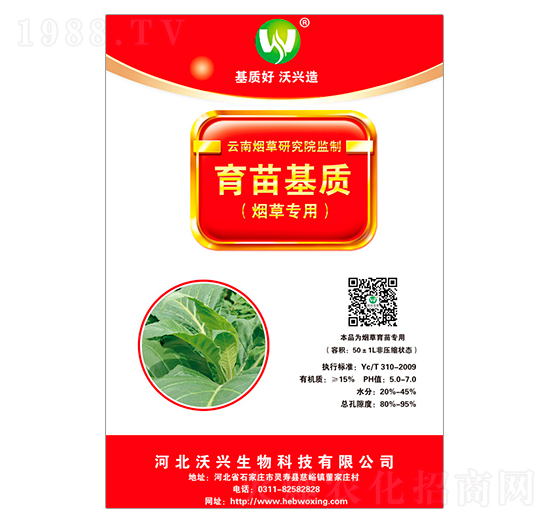 ���݌���������|-���d����