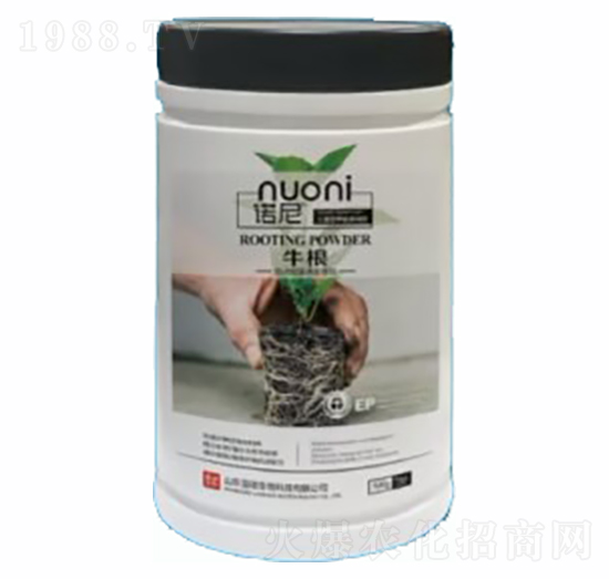 牛根-諾尼-紐歌潤(rùn)