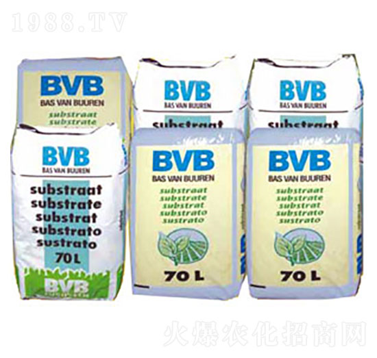 ���N���û��|(zh��)-BVB-�������r(n��ng)�Q(m��o)