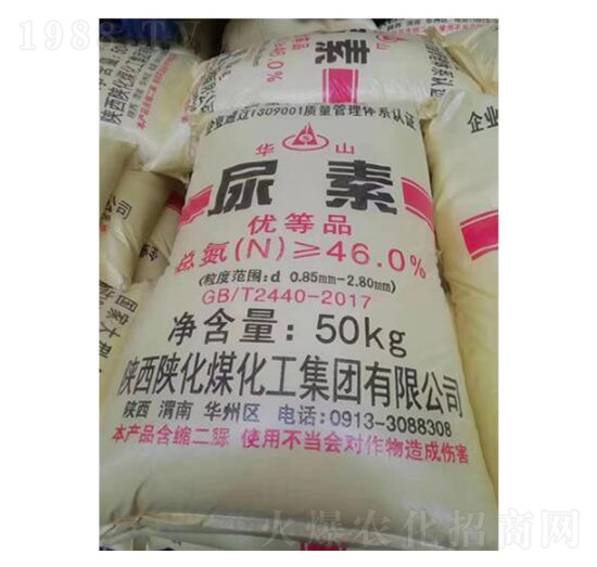 �Aɽ����-�ѷ�Ԫ