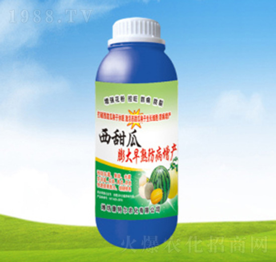 西甜瓜膨大早熟防病增產(chǎn)-康特爾農(nóng)化