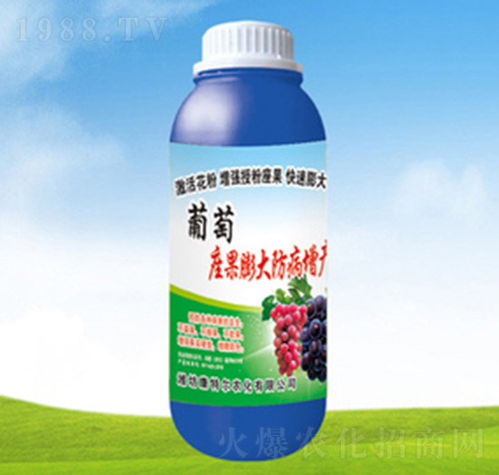葡萄座果膨大防病增產(chǎn)-康特爾農(nóng)化