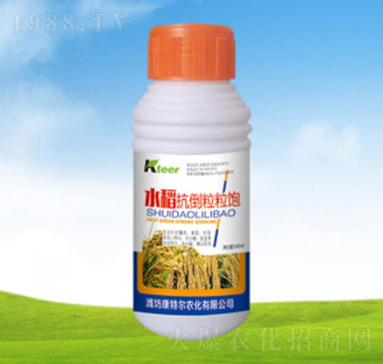 水稻抗倒粒粒飽-康特爾農化