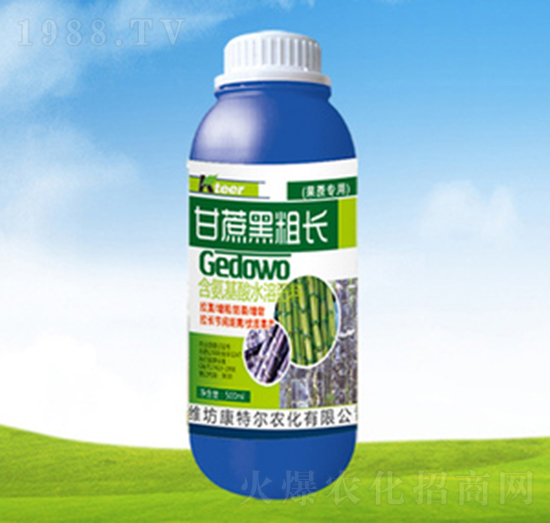 甘蔗黑粗長(zhǎng)-康特爾農(nóng)化