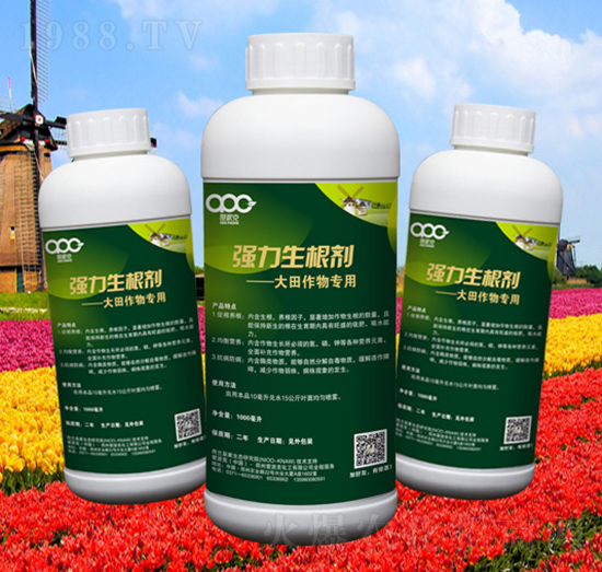 強(qiáng)力生根劑（大田作物專用）-愛派克