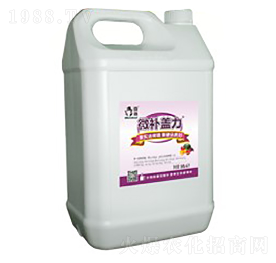 ��sҺ�w�����}-΢�a(b��)�w��-΢�a(b��)ֲ��