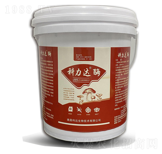 �����_(d��)��ø-���_(d��)����