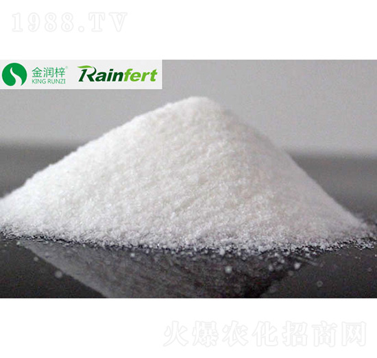 十水硼砂-金潤梓