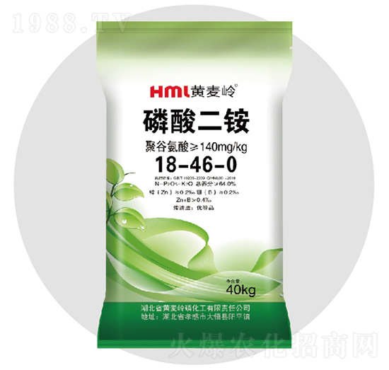 �۹Ȱ���������@-�S���X