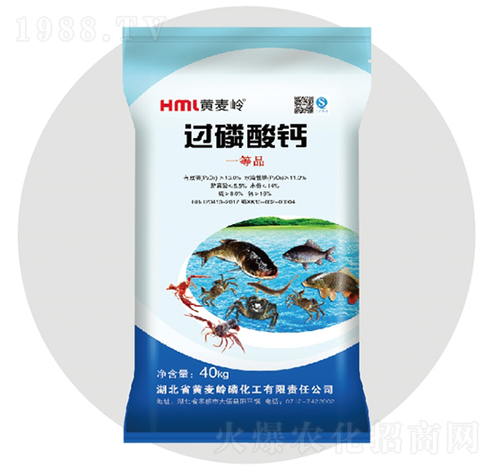 �^�����}-�S���X