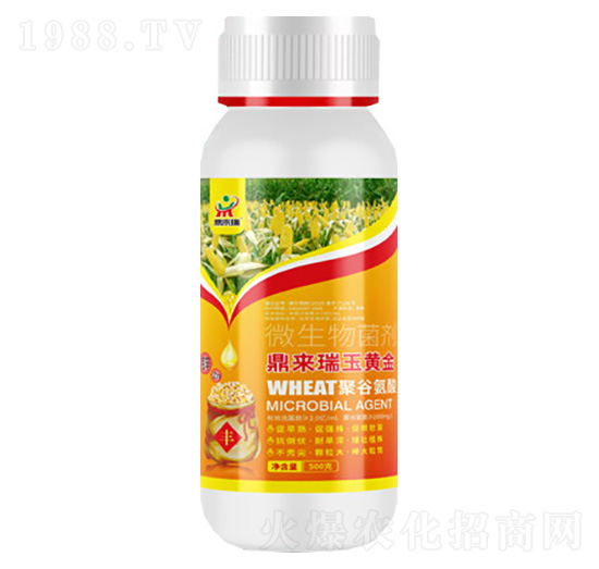 ���������S��΢�������-������