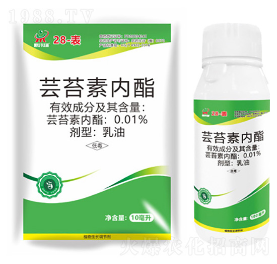 �|̦�؃�(n��i)֬-����(l��i)��