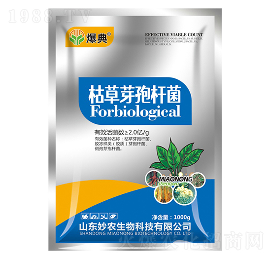 �ݲ�ѿ�ߗU��-����-���r����