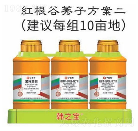 �t����ݬ�ӷ���-�n֮��-�n�ѻ��W