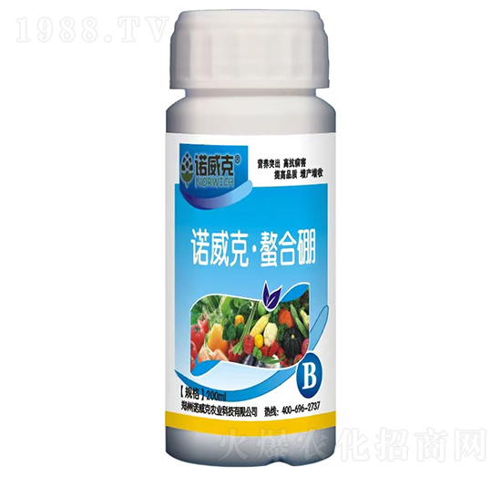 �Z���ˡ�������-�Z����