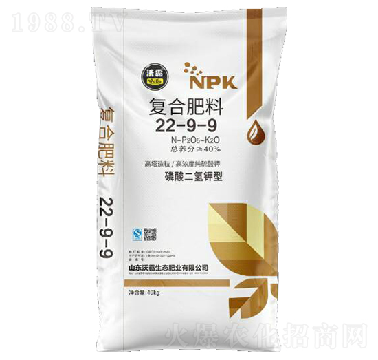 ���������͏�(f��)�Ϸ���22-9-9-�ְ�