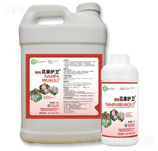 楠帕花果護衛(wèi)-耕道