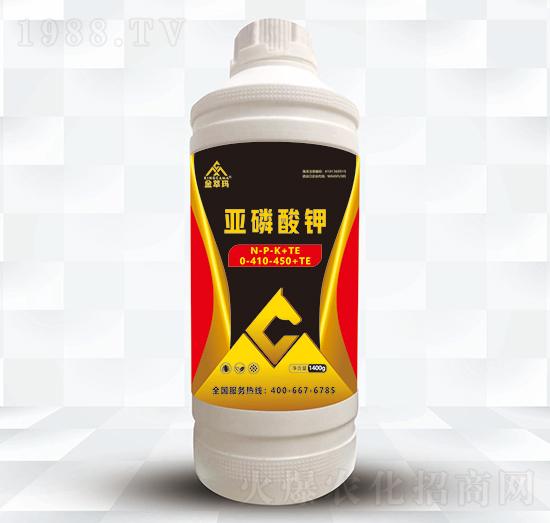 ������⛣�1400g��-���ͬ�