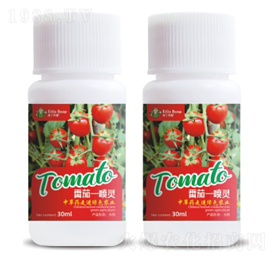 ����һ���`-�۶�����