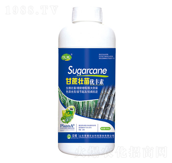 ������烞(y��u)�S�أ�ƿ��-����-�sҫ�r(n��ng)�I(y��)