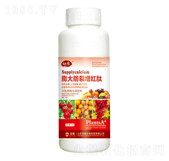 ���������t�ģ�500g��-����-�sҫ�r�I(y��)