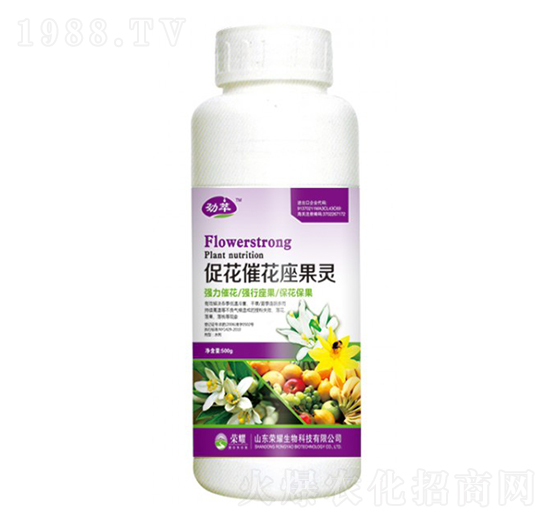 �ٻ��߻������`��500g��-����-�sҫ�r�I(y��)