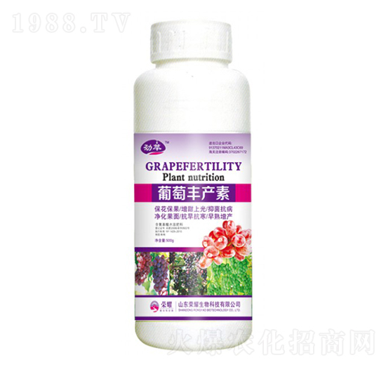 �����S�a�أ�500g��-����-�sҫ�r�I(y��)