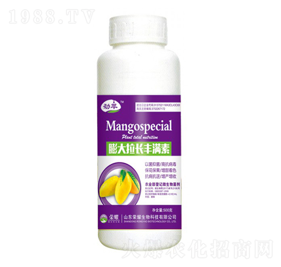 ������L�S�M�أ�500g��-����-�sҫ�r(n��ng)�I(y��)