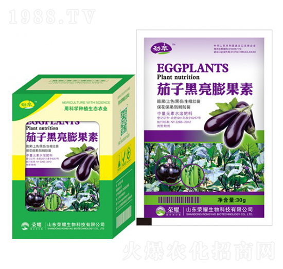 ���Ӻ��������-����-�sҫ�r�I(y��)