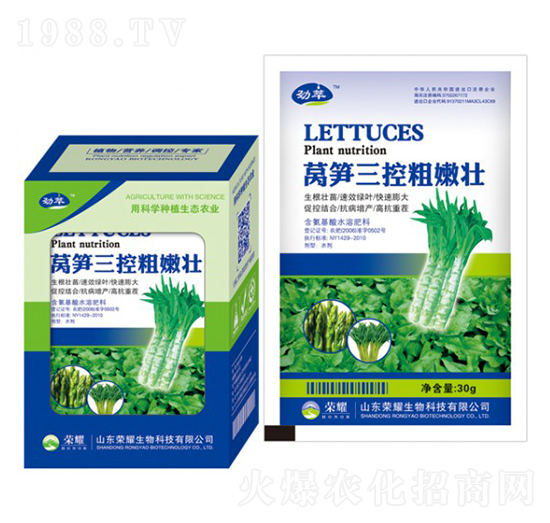 �n�S���ش��ۉ�-����-�sҫ�r�I(y��)