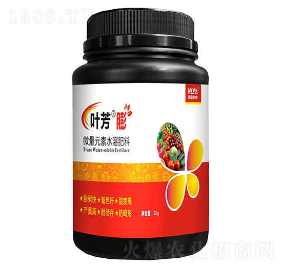 �~����-�������