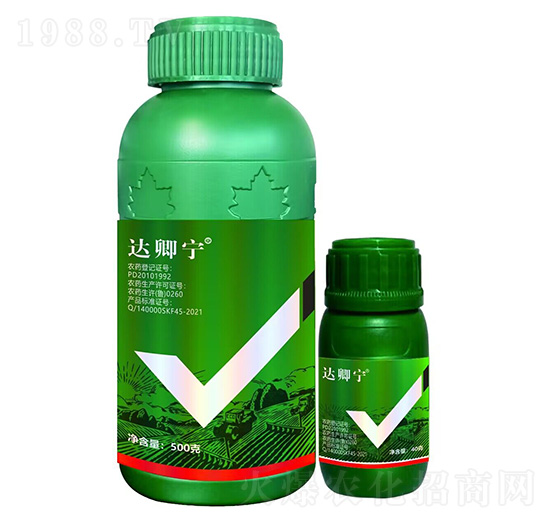 達(dá)卿寧-?？破? style=