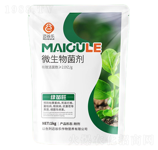 �G����΢�������-�~�Ș�(l��)