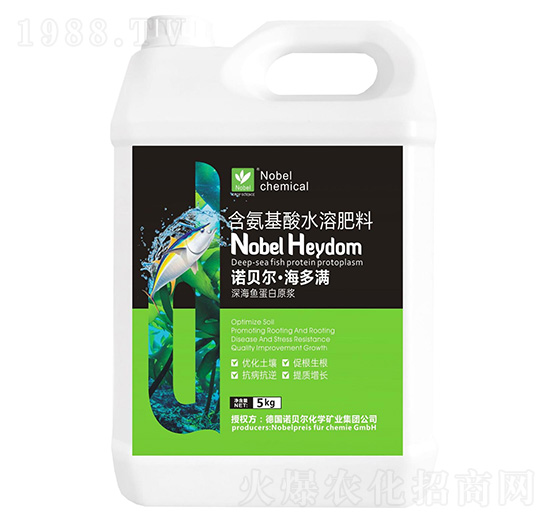 ��~����ԭ�{-�����M-�Zؐ��