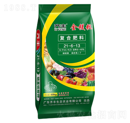 �������ڏͺϷ���21-6-13-���V��-�R�S�r�I(y��)