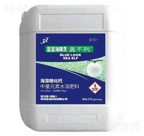 海藻糖化鈣17L-藍(lán)望海精靈蓋不列-藻之藍(lán)